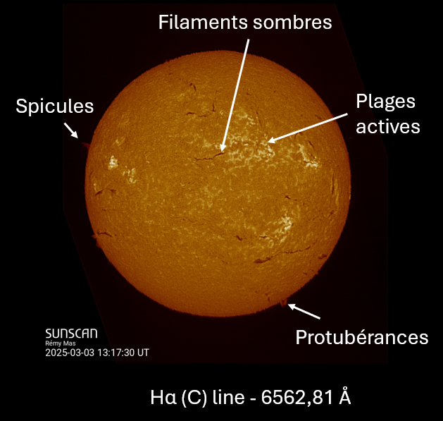 Soleil en H-alpha