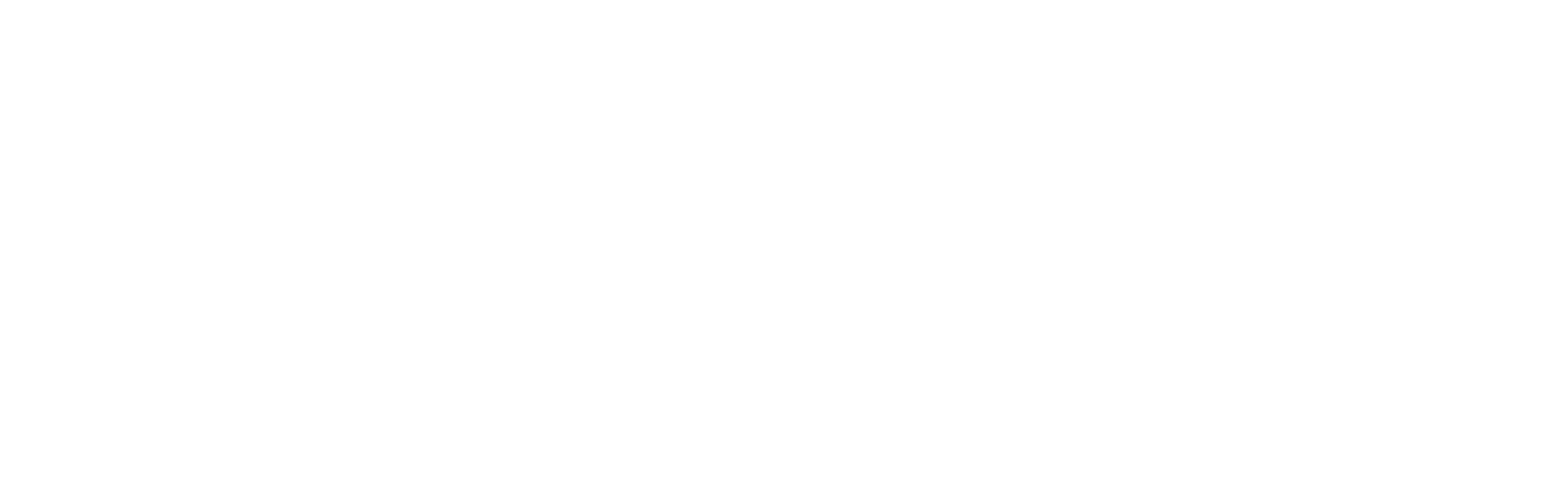Logo IEJN
